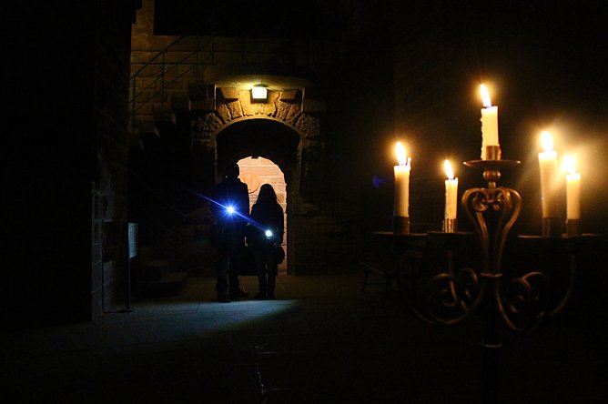 Die Artenvielfalt der nachtaktiven Tiere im Kyffhäuser (Foto: Stadtmarketing Bad Frankenhausen) Die Artenvielfalt der nachtaktiven Tiere im Kyffhäuser (Foto: Stadtmarketing Bad Frankenhausen)