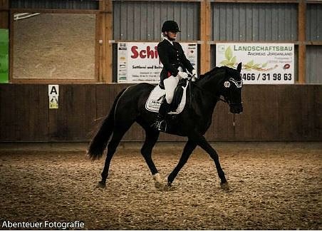 Gelungene Premiere beim Reitturnier in Heygendorf (Foto: Privat) Gelungene Premiere beim Reitturnier in Heygendorf (Foto: Privat)