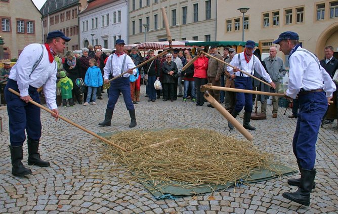 Drescher (Foto: Rosenstadt Sangerhausen GmbH)