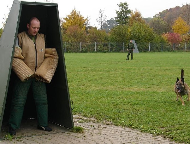 F&uuml;r tauglich befunden (Foto: PD NDH)