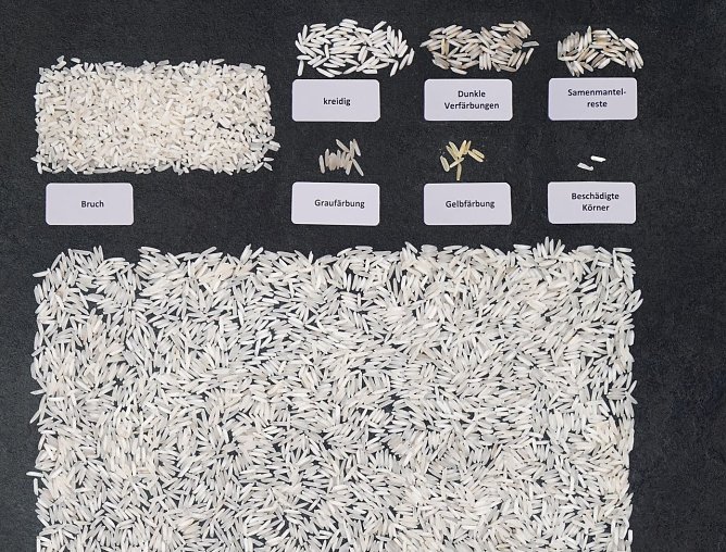 Kritische Korn&shy;lese: Fast jedes zehnte Korn in diesem Kochbeutelreis ist Bruch. Die Anzahl verf&auml;rbter und kreidiger K&ouml;rner liegt im Rahmen. (Foto: Stiftung Warentest)