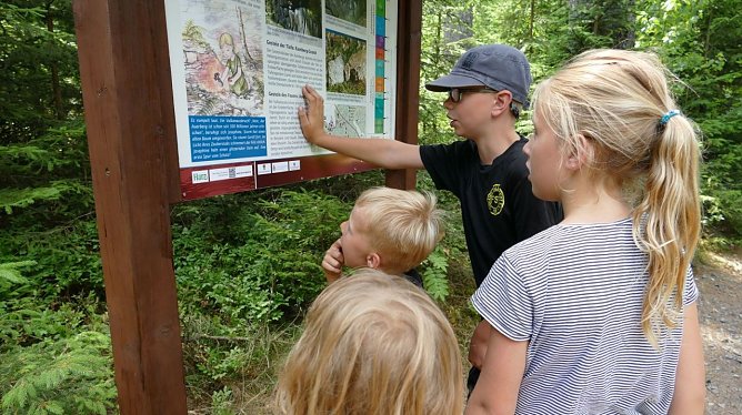 Die ersten kritischen Besucher (Foto: Dr. Klaus George)