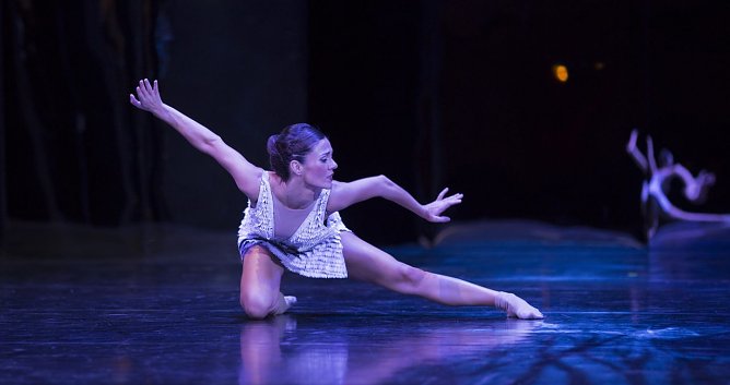 Schwanensee (Foto: A. Dobi)