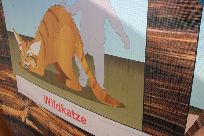 Kann man bei Osterspaziergang entdecken (Foto: Karl-Heinz Herrmann)