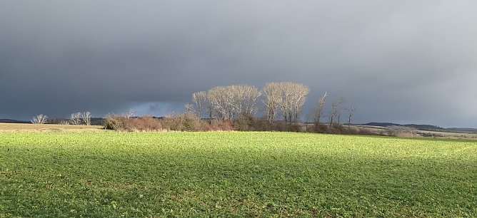 wetter (Foto: oas) wetter (Foto: oas)