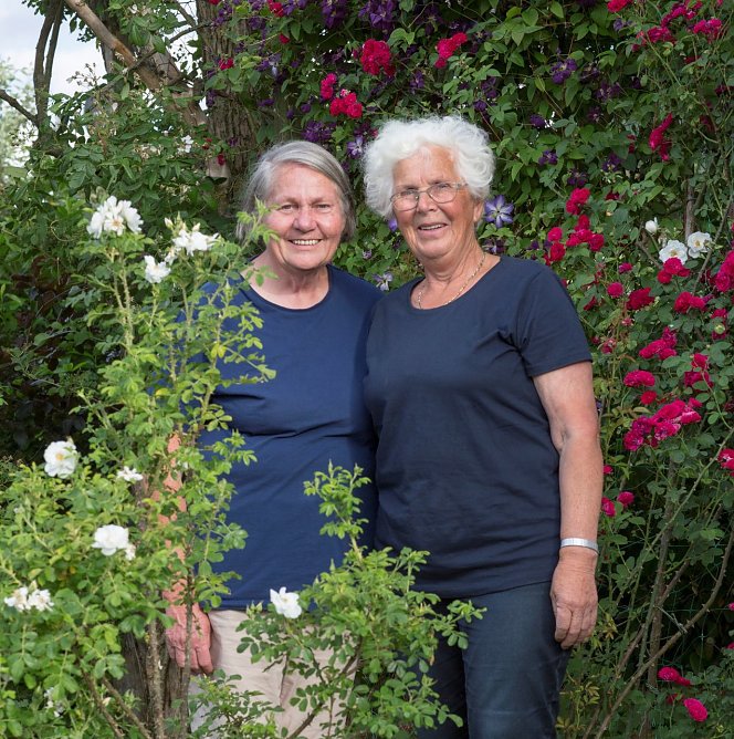 Historische Rosen  (Foto: Europa-Rosarium Sangerhausen )