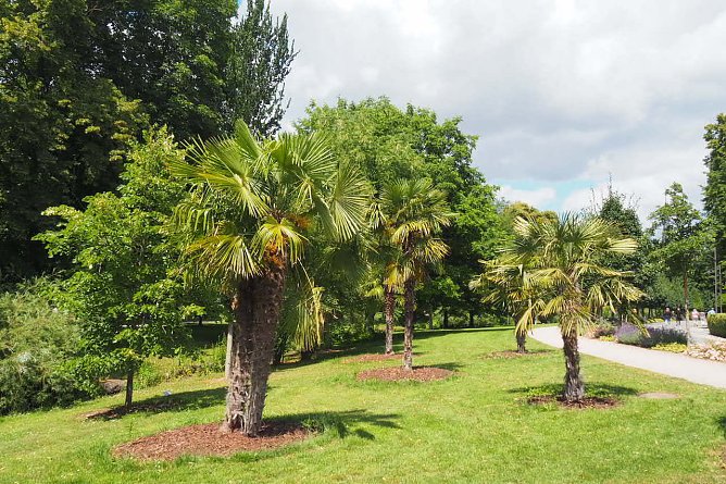 Japanischer Garten Bad Langensalza (Foto: Friedling) Japanischer Garten Bad Langensalza (Foto: Friedling)