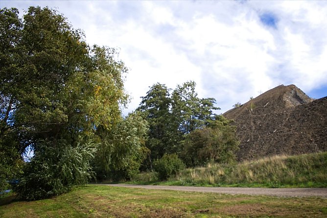Halde Freiesleben  (Foto: Hans-J&uuml;rgen Paasch, Sprecher der Kreisgruppe Mansfeld S&uuml;dharz des BUND Sachsen-Anhalt)