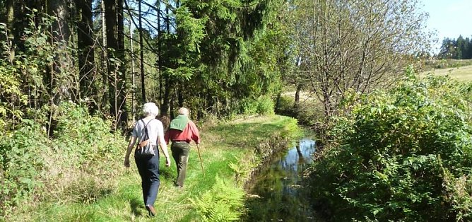Zellerfelder Kunstgraben (Foto: privat)