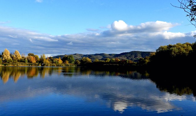 Goldener Herbst (Foto: P.Blei) Goldener Herbst (Foto: P.Blei)