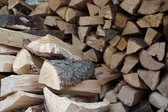 Brennholzstapel (Foto: Daniela Troeger) Brennholzstapel (Foto: Daniela Troeger)