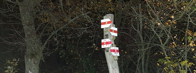 100 km durch Karst, Herbstlaub und Schlamm (Foto: privat)