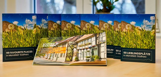 Neuauflage  (Foto:  Standortmarketing Mansfeld-S&uuml;dharz GmbH)