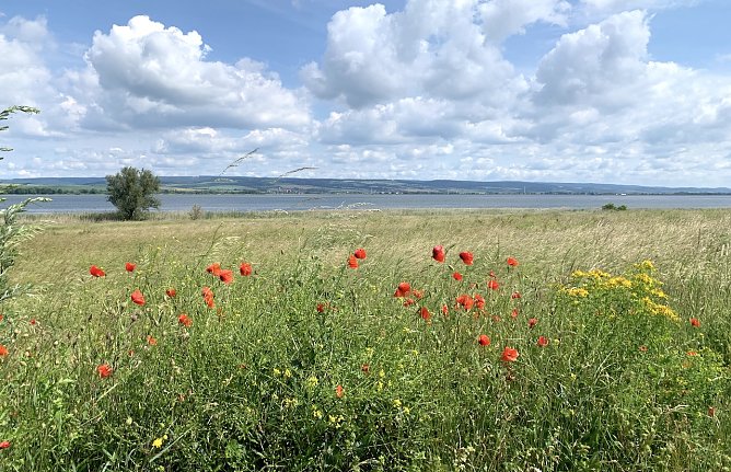 Der Fr&uuml;hling h&auml;mmert dieses Wochenende an die Wettert&uuml;r (Foto: nnz-Archiv)