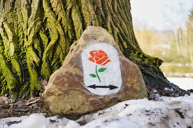 Wildrosenpfad (Foto: SMG) Wildrosenpfad (Foto: SMG)