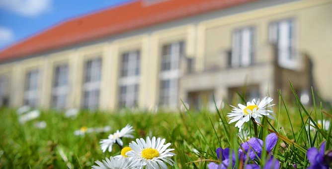 Bildunterschrift: Der gr&uuml;ne Campus pr&auml;sentiert sich zum Hochschulinformationstag leider nur online.  (Foto: Tina Bergknapp)