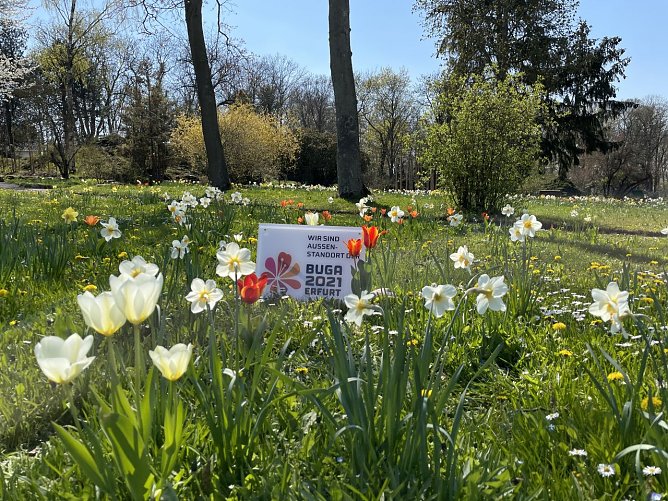 Saisinauftakt im Rosarium Sangerhausen  (Foto: Rosenstadt Sangerhausen GmbH )