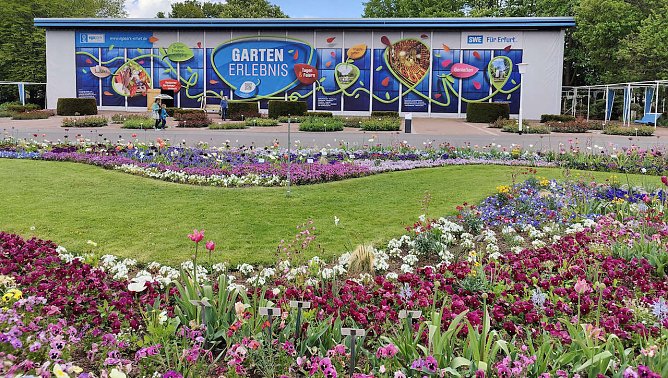 BUGA Erfurt (Foto: P.Blei) BUGA Erfurt (Foto: P.Blei)