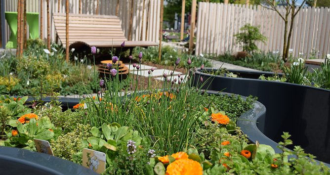 Themengarten auf der BUGA Erfurt (Foto: Fachverband Garten-, Landschafts- und Sportplatzbau) Themengarten auf der BUGA Erfurt (Foto: Fachverband Garten-, Landschafts- und Sportplatzbau)