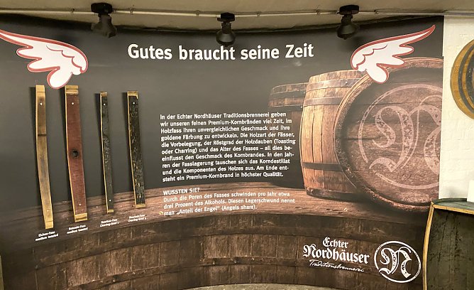 Der traditionelle Fasskeller nimmt immer konkretere Gestalt an (Foto: oas) Der traditionelle Fasskeller nimmt immer konkretere Gestalt an (Foto: oas)