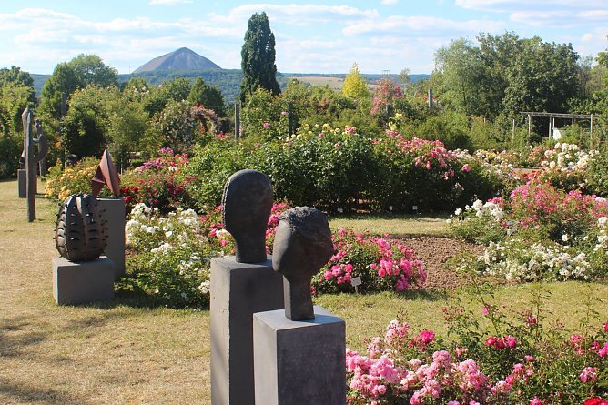 Rose trifft Kunst (Foto: Europa-Rosarium ) Rose trifft Kunst (Foto: Europa-Rosarium )