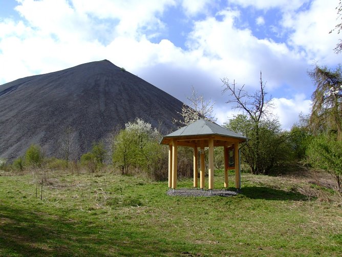 Hohe Linde (Foto: Biosphärenreservat ) Hohe Linde (Foto: Biosphärenreservat )