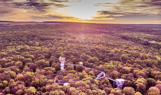 Der Baumkronenpfad im Hainich (Foto: Maik Angermüller) Der Baumkronenpfad im Hainich (Foto: Maik Angermüller)