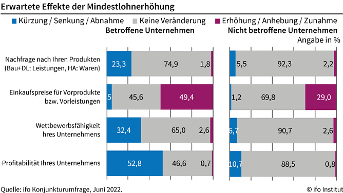 Grafik Befragung (Foto: ifo)