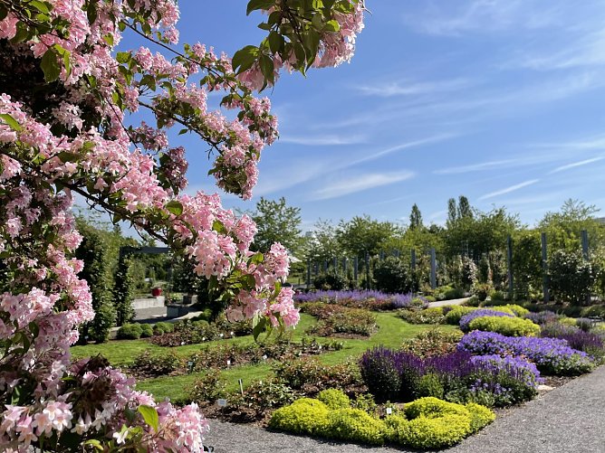 Im Europa-Rosarium freut man sich auf die Er&ouml;ffnung der Jubil&auml;umssaison im Mai (Foto: Europa-Rosarium)