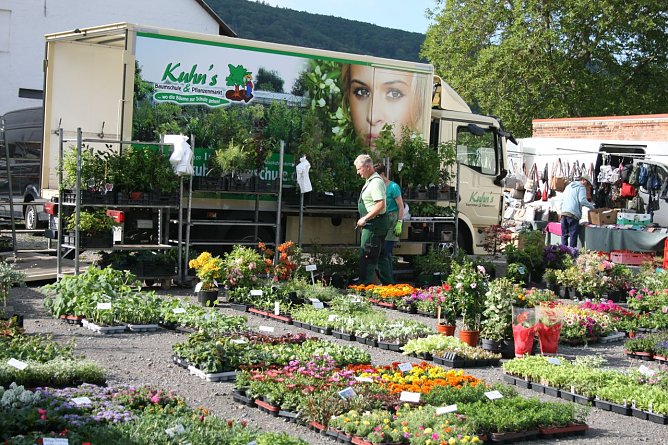 Der Maibauernmarkt in Kelbra startet am 20. Mai (Foto: Ulrich Reinboth) Der Maibauernmarkt in Kelbra startet am 20. Mai (Foto: Ulrich Reinboth)