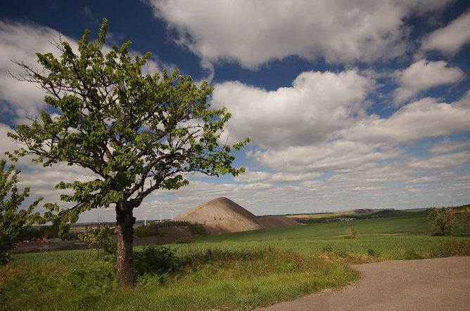 Am 4. Juni kann man den Gipfel der gr&ouml;&szlig;ten Haldenpyramide besteigen (Foto: Thomas W&auml;sche)