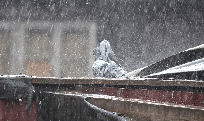 Windig und kr&auml;ftige Gewitter (Foto: emw)