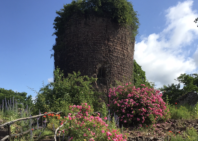 Sommer auf der Ebersburg (Foto: Verein f&uuml;r lebendiges Mittelalter)