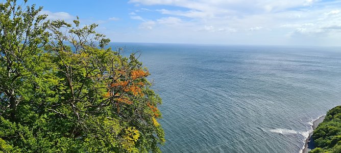 Nationalpark Königsstuhl (Foto: Sylvia Schieblich) Nationalpark Königsstuhl (Foto: Sylvia Schieblich)