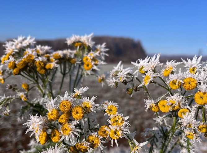 Symbolbild Wetter (Foto: ssc)