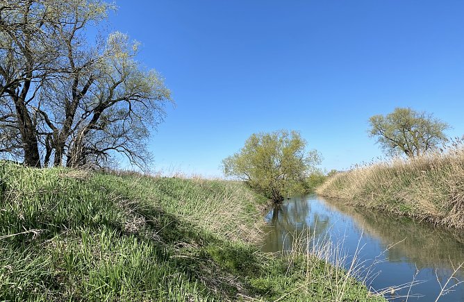 Ab morgen erwartet uns endlich Frühlingswetter (Foto: oas) Ab morgen erwartet uns endlich Frühlingswetter (Foto: oas)