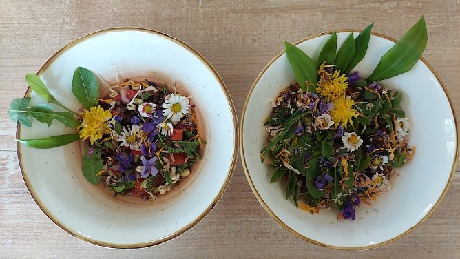 Fr&uuml;hlingskr&auml;uter (Foto: Sabine Schr&ouml;der)