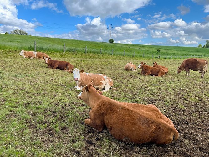 Symbolbild Wetter (Foto: ssc) Symbolbild Wetter (Foto: ssc)