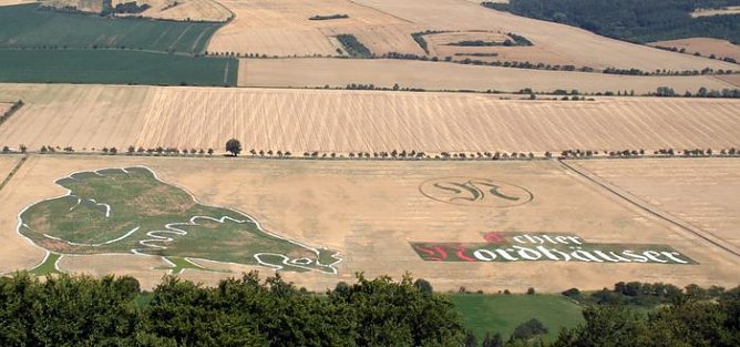 Die letzte Chance (Foto: privat) Die letzte Chance (Foto: privat)