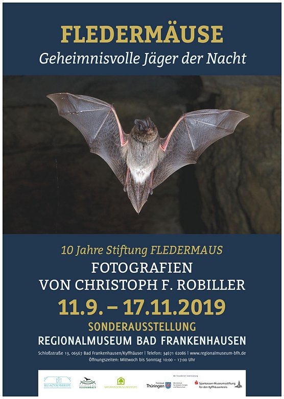 Bild: Flederm&auml;use Geheimnisvolle J&auml;ger der Nacht