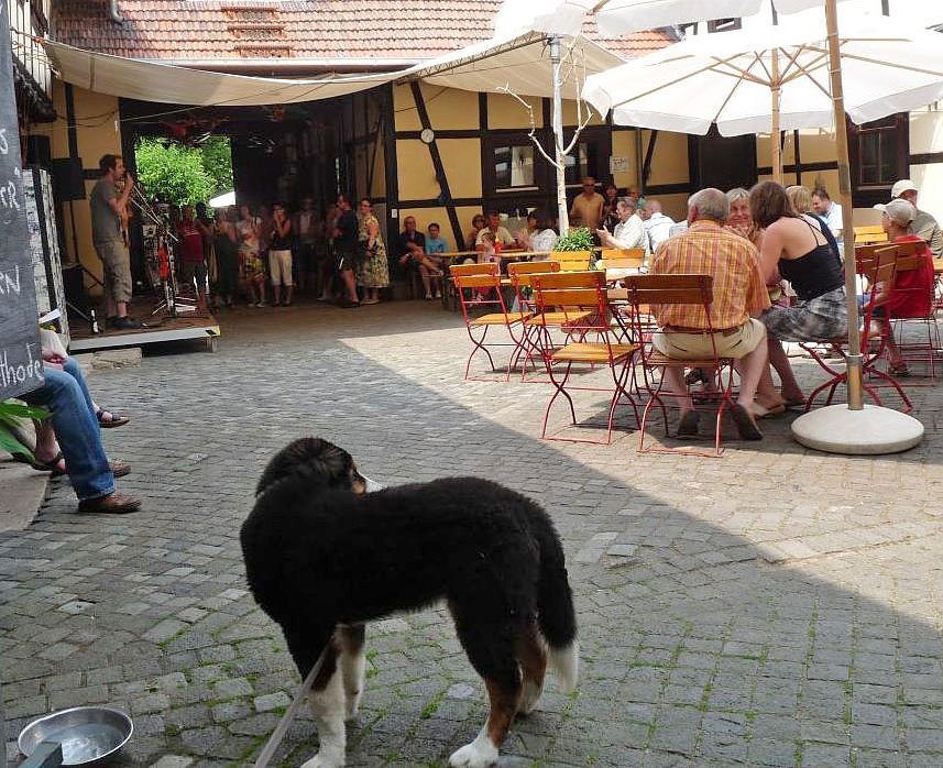 Kr&auml;uterfest in Friedrichsrode