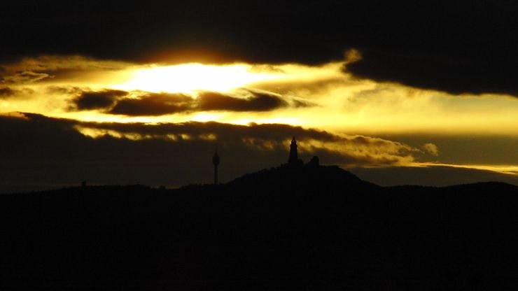 Enziane in der Heimat