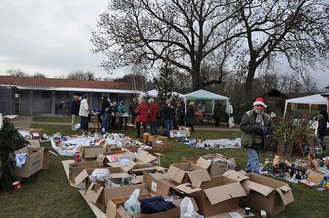 Weihnachtsmarkt im Tierheim