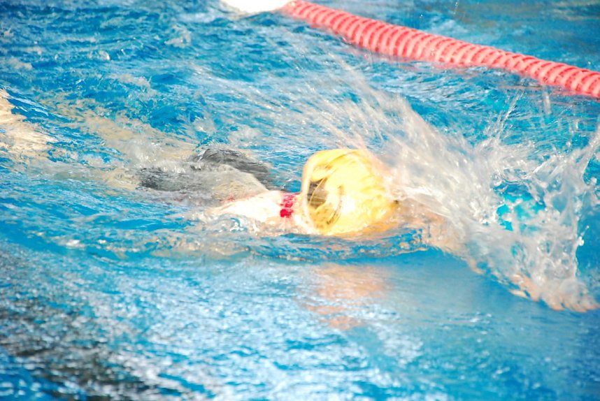Stadtmeisterschaften im Schwimmen