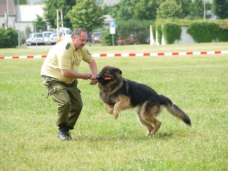 Tag der offenen T&uuml;r bei der Polizeidirektion Nordhausen