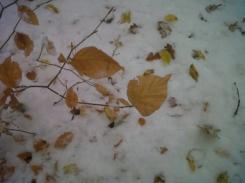 Herbst und Winter