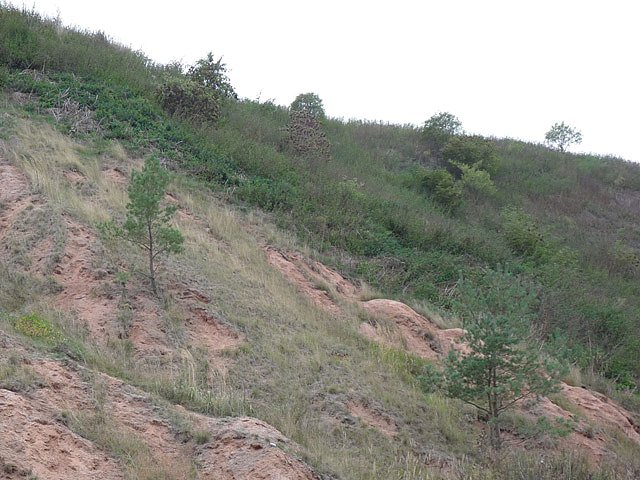 Haldenbefahrung der Kalihalde Sondershausen