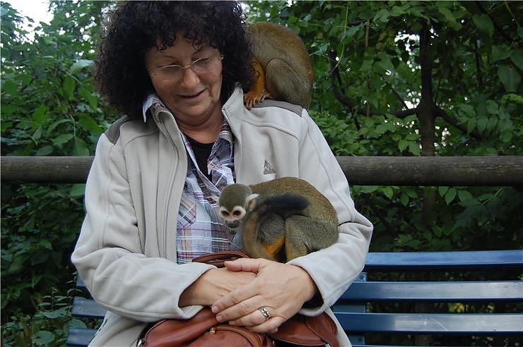 Affenwald Erlebnispark Strau&szlig;berg