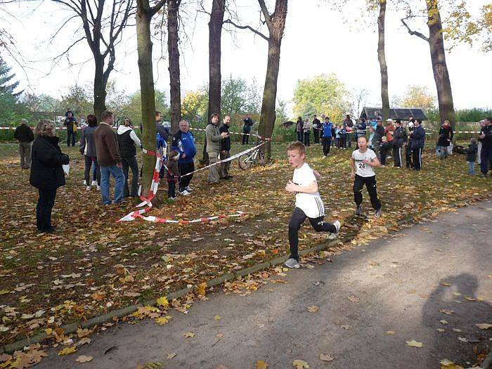 15. Stadtparklauf Sondershausen