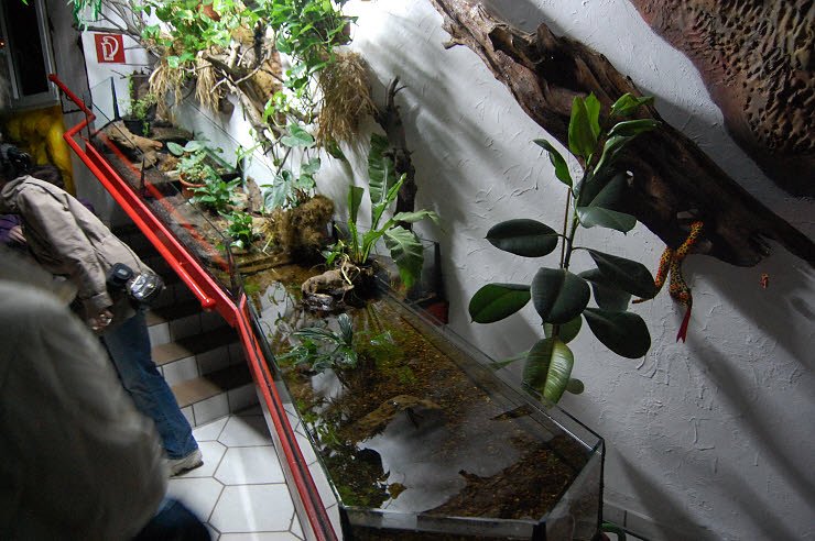 Nanderwanderung im  Nordh&auml;user Zoo nnz-City Scout on Tour